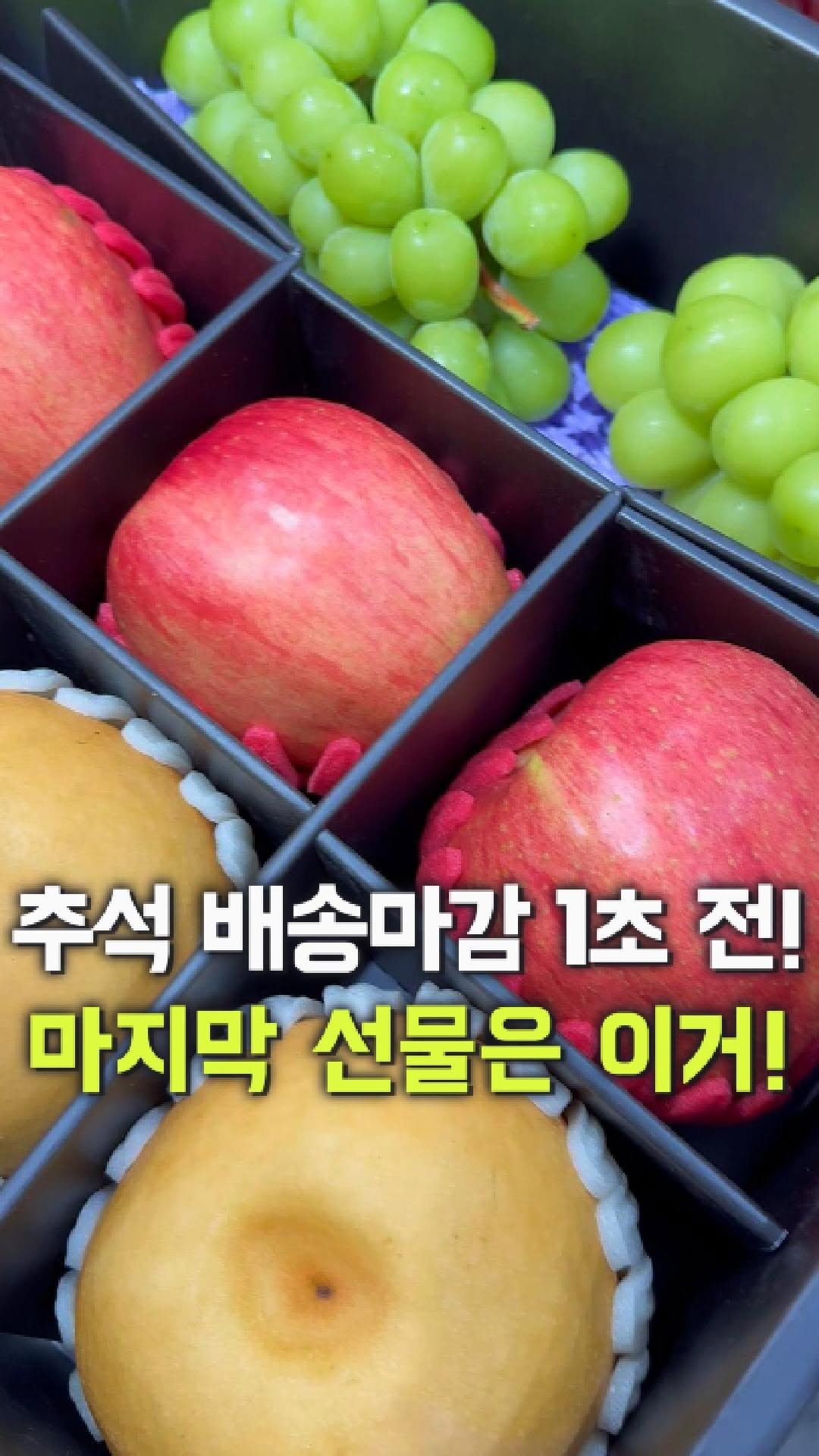 dolfarmer_official 게시물 이미지: 🔔오늘 5시까지 당일출고🔔

오늘 지나면 더이상 출고불가!
아직 선물세트 고민하고...