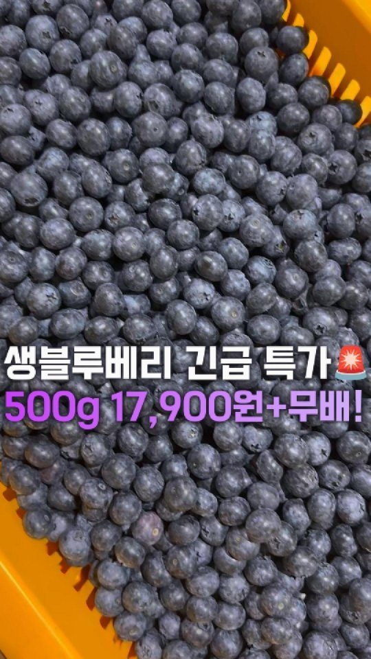 dolfarmer_official 게시물 이미지: 🫐역대급 퀄리티 블루베리 특가 떴습니다~🫐

💟500g 17,900원
💟1kg...