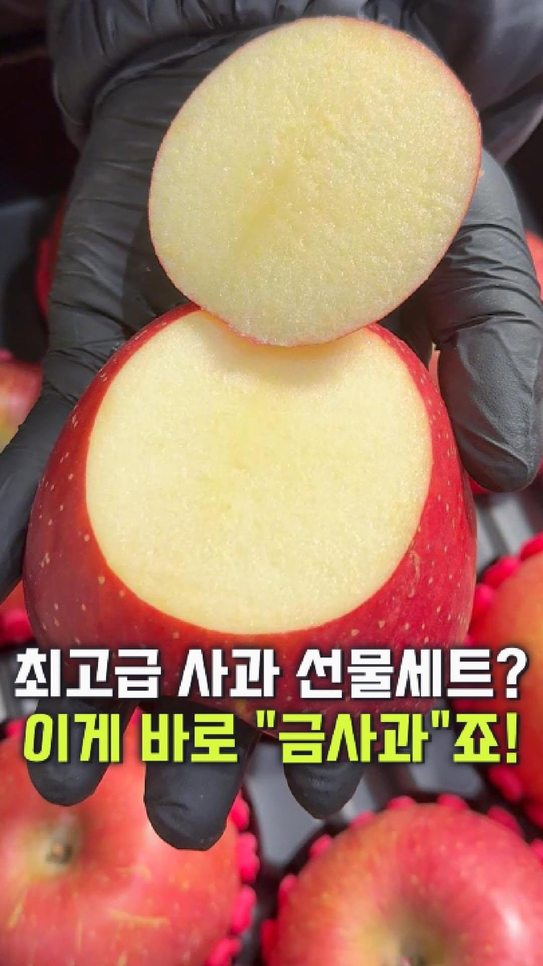 dolfarmer_official 게시물 이미지: 저렴한데 좋은 사과?
요즘 그런거 진짜 없습니다..❌

명절선물인데 그저그런 사과로...