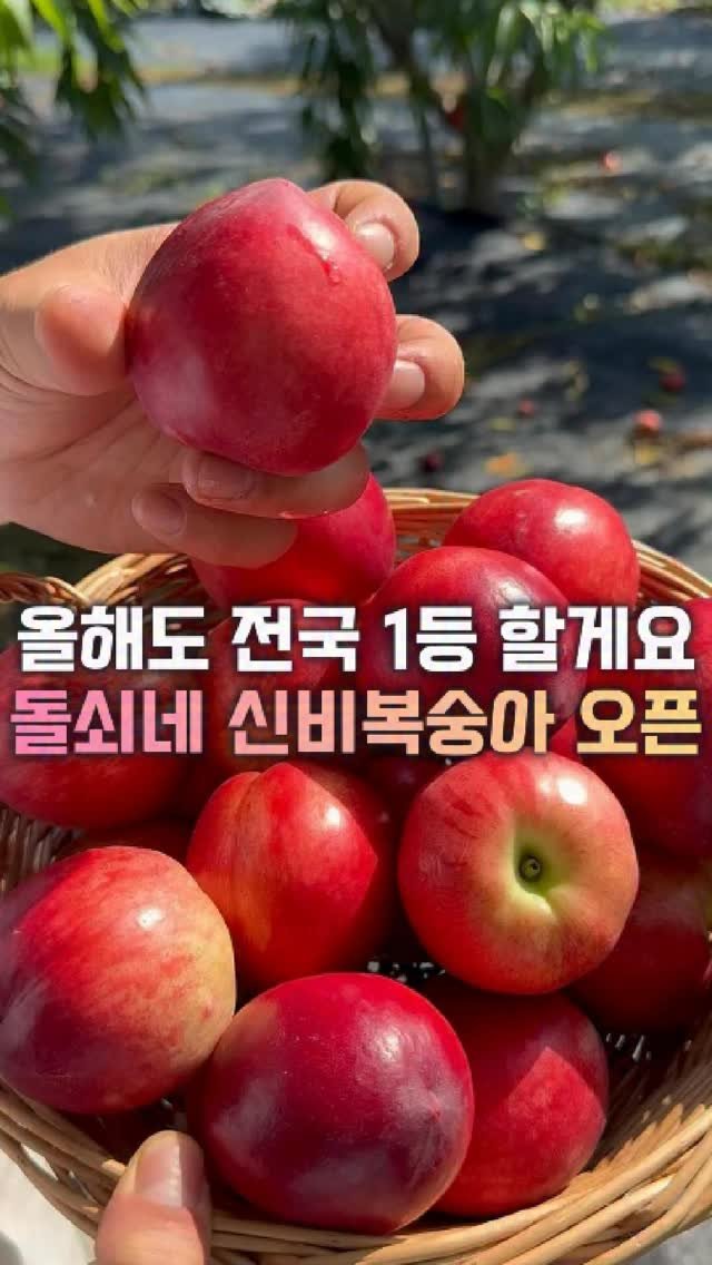 dolfarmer_official 게시물 이미지: 신비복숭아 사전예약 시작합니다!🍑🍑
누적판매 17만건,
소개해드리지 않아도 이미...