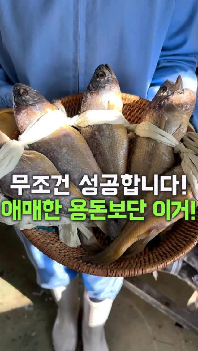 dolfarmer_official 게시물 이미지: 명절 용돈 얼마 드릴지 걱정이신가요..?
물가도 오르고 용돈 시세도 올랐지만
이...