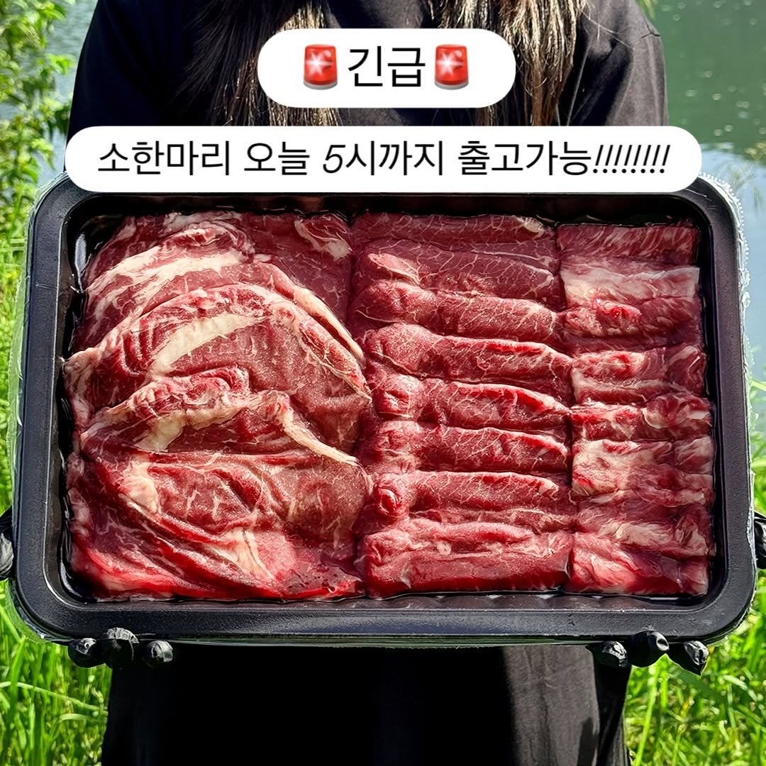 Photo by 돌쇠네농산물 on September 30, 2025. May be an image of 1 person, grill, beef and text that says '긴급 소한마리 오늘 5시까지 출고가 출고가능!!!!!!! !!!!!!!! Me'.