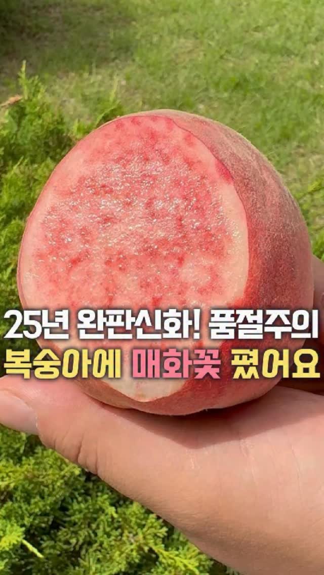 dolfarmer_official 게시물 이미지: 묻지도 따지지도 마세요🙅‍♂️🙅‍♂️
조생종 중엔 이게 왕입니다.

이 시기에...