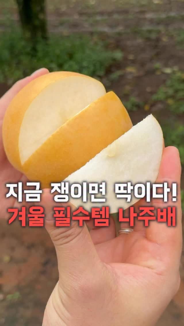 dolfarmer_official 게시물 이미지: 지금 완전 겨울배 쟁여야 할 타이밍✨

겨울에 시원하게 깎아 먹고
애들 배꿀찜도,...