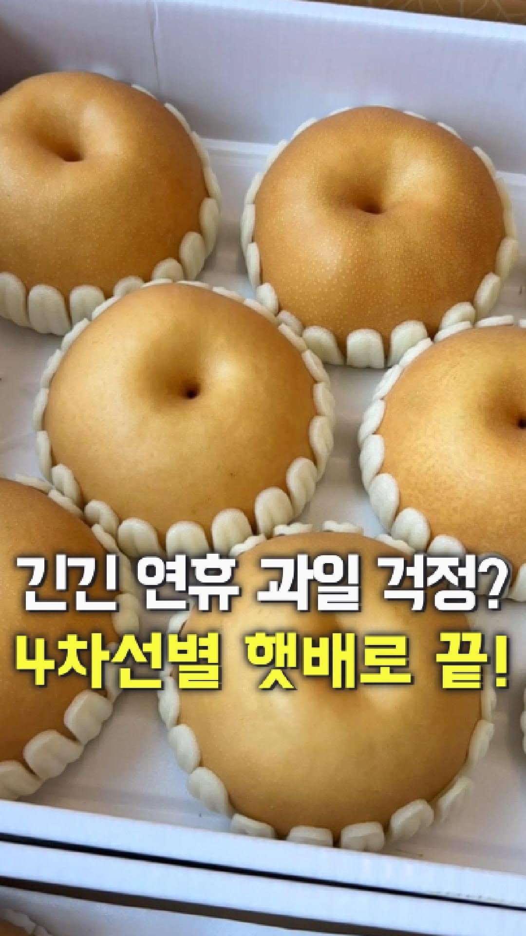 dolfarmer_official 게시물 이미지: [나주배 로얄과 3kg 11,900원!]

돌쇠네가 마지막 출고로
진짜 큰 거...