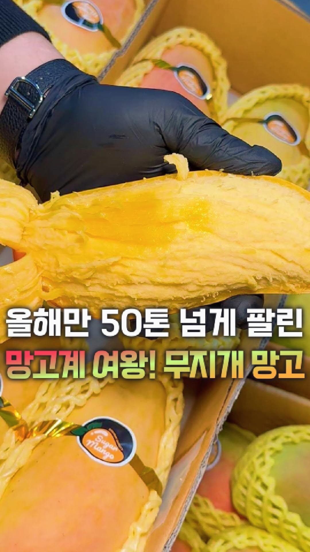dolfarmer_official 게시물 이미지: 한달에 만개씩 팔리는 망고가 있다구요?!
무지개망고, 오늘부터 초특가...