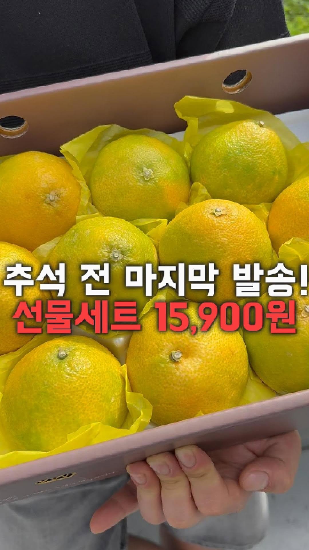 dolfarmer_official 게시물 이미지: [⚠️추석 전 마지막 발송]
황금향 선물세트 15,900원+무료배송!

선물할 곳...