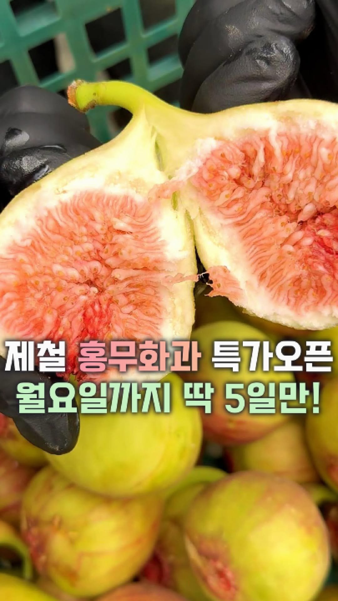 dolfarmer_official 게시물 이미지: 올해 첫 무화과 나왔어요!
드디어 소개합니다🙇🩷

무화과는 타이밍이 생명인...