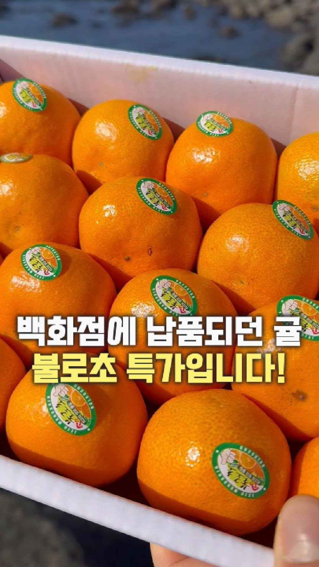 dolfarmer_official 게시물 이미지: 백화점에만 납품되던 이 감귤, 
혹시 들어 보셨나요?
불로초 감귤 가져왔습니다!...
