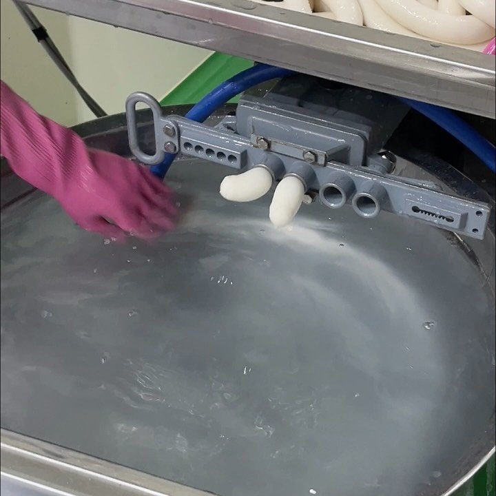 dolfarmer_official 게시물 이미지: 새해 맞을 준비, 다 되셨나요 마님들~?
당연히 떡국도 드셔야겠죠~!?🤤
오늘...