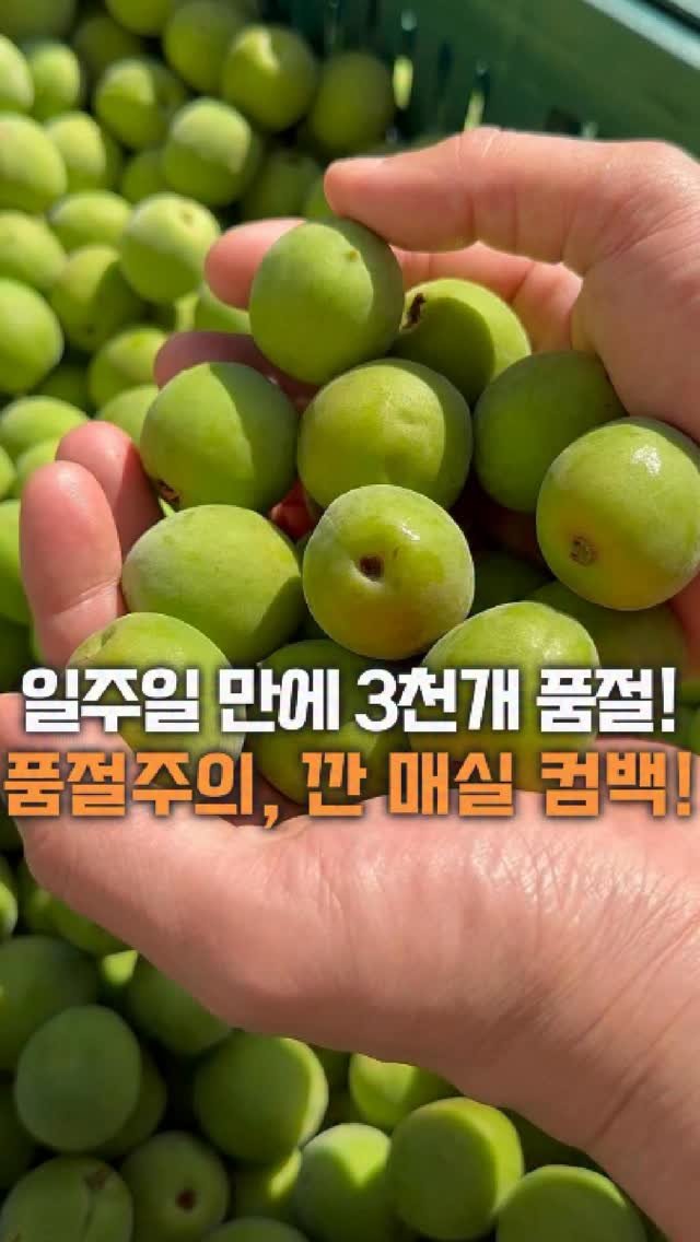 dolfarmer_official 게시물 이미지: 작년에 일주일만에 10톤 팔렸던 깐 매실!
올해도 오픈합니다!!👏👏

넉넉하게...