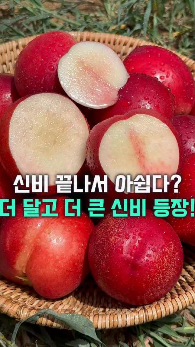 dolfarmer_official 게시물 이미지: 신비복숭아 끝난 거 아니었냐고요?
네... 아니요...
아직 안...