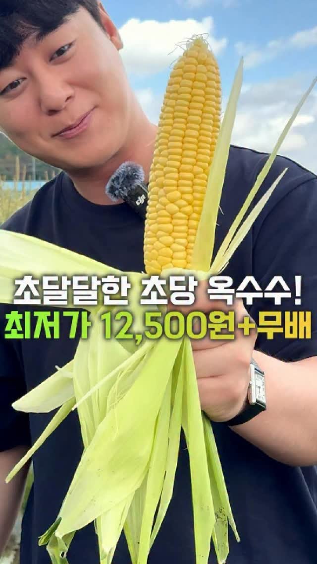 dolfarmer_official 게시물 이미지: 🌽초당 옥수수도 돌쇠네에서 사야 🐶이득!

국내산 햇 초당옥수수,
지금 가장 맛있을...