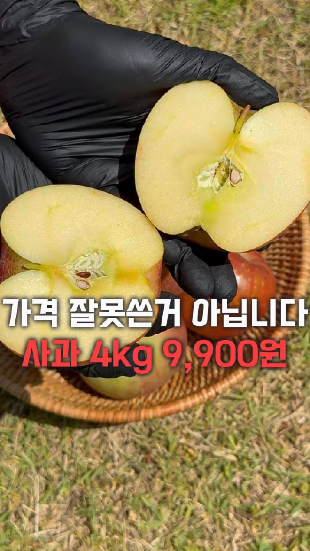 dolfarmer_official 게시물 이미지: 부사 사과 4kg을 9,900원에🍎
가격 잘못 쓴 거 아닙니다!😮😮

이 영상...