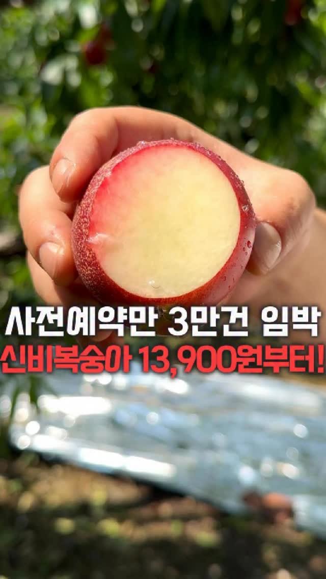 dolfarmer_official 게시물 이미지: 사전예약 2만건 돌파!!
신비복숭아, 설마 아직도 예약 안하셨어요..?

🔗그럼...