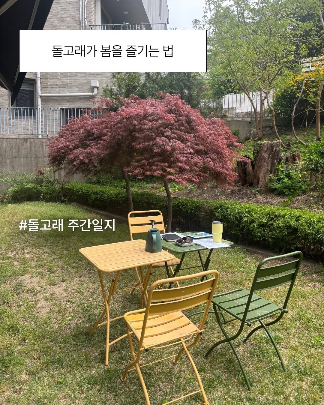 Photo by 돌고래 on April 24, 2026. May be an image of deck chair, dining table and text that says '돌고래가 돌고래가봄을즐기는법 봄을 즐기는법 #돌고래 주간일지'.