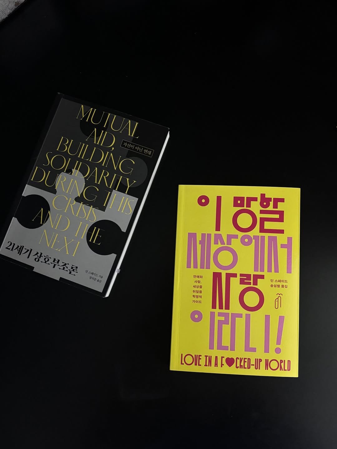 dolgoraebooks 게시물 이미지: 『이 망할 세상에서 사랑이라니!』의 저자 딘 스페이드는 사회운동가이자 변호사,...