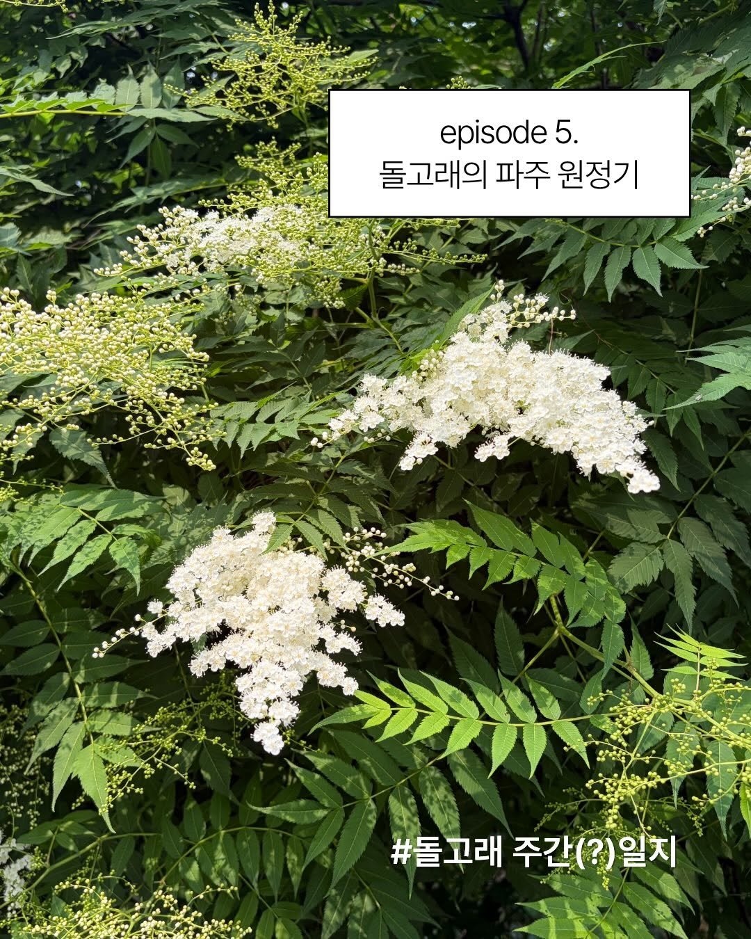 dolgoraebooks 게시물 이미지: 🐬 episode 5. 돌고래의 파주 원정기 #돌고래주간일지

신간 출간으로...