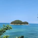 chollipoarb 프로필 사진