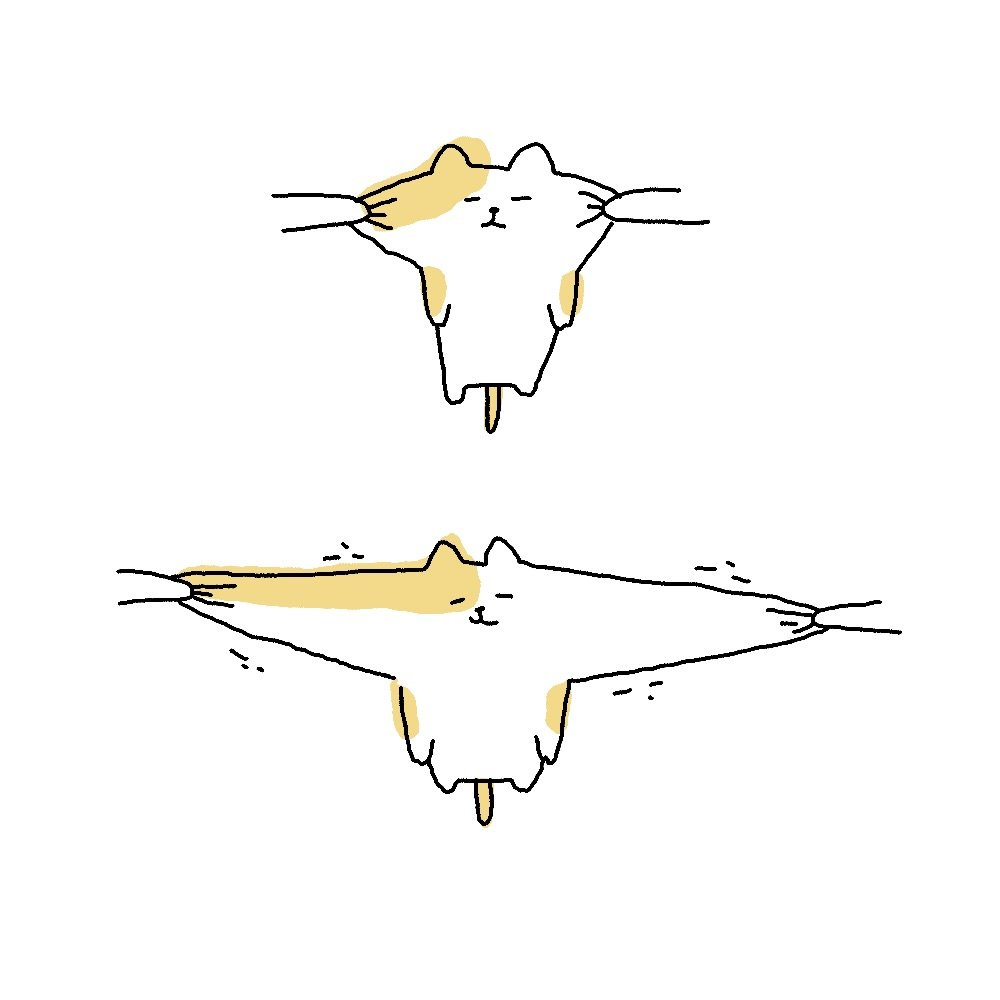 donachodiary 게시물 이미지: 비오는 날에는 액체 #고양이 

눈물의 재업ㅠ