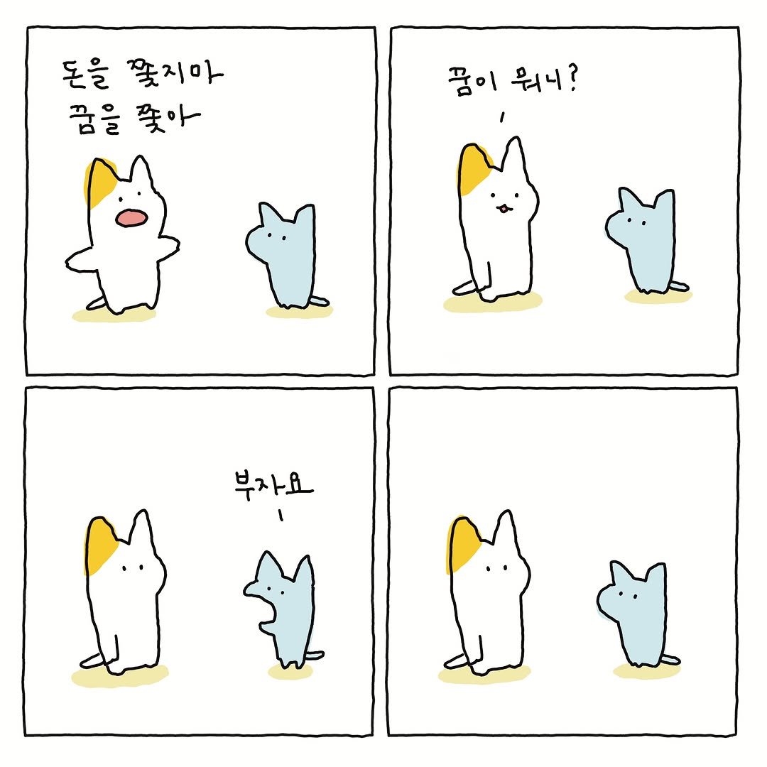 donachodiary 게시물 이미지: 꿈을 쫓아 

#도나쵸 #donacho