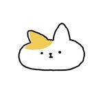 donachodiary 인스타그램 프로필 사진