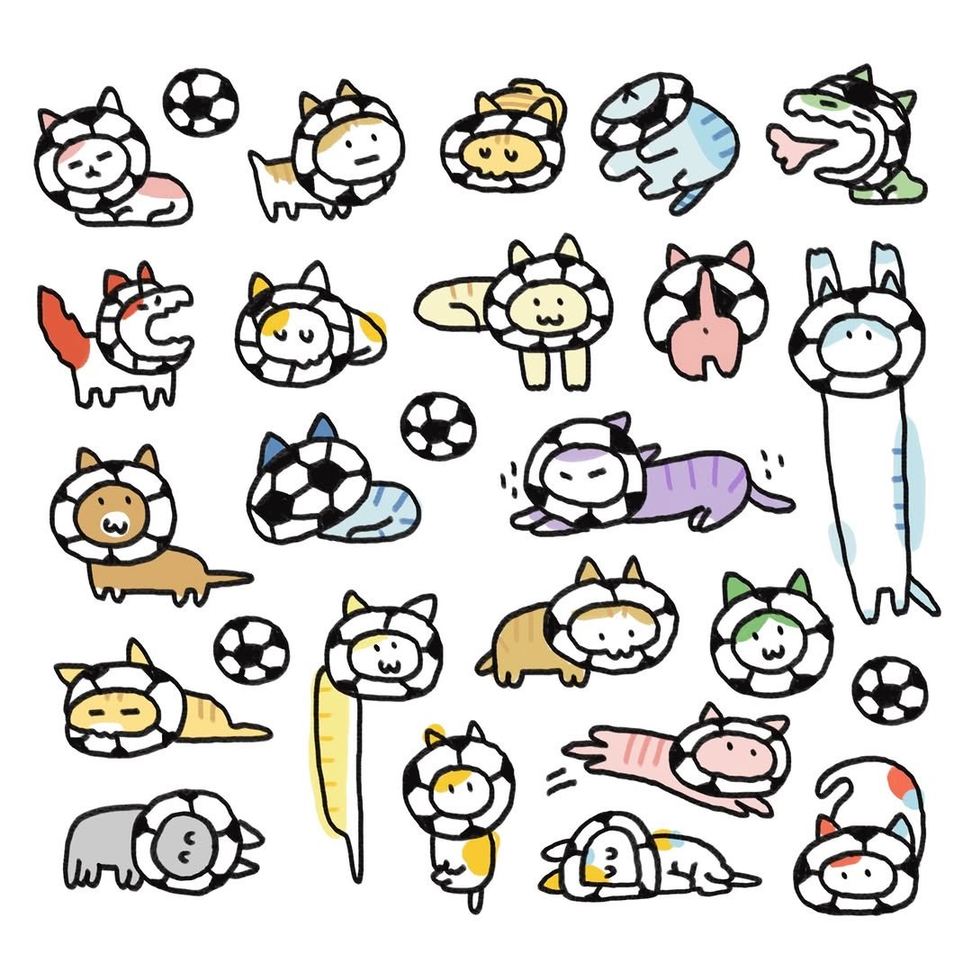 donachodiary 게시물 이미지: 축구공양이 
World Cat 

#월드컵 #worldcup2026