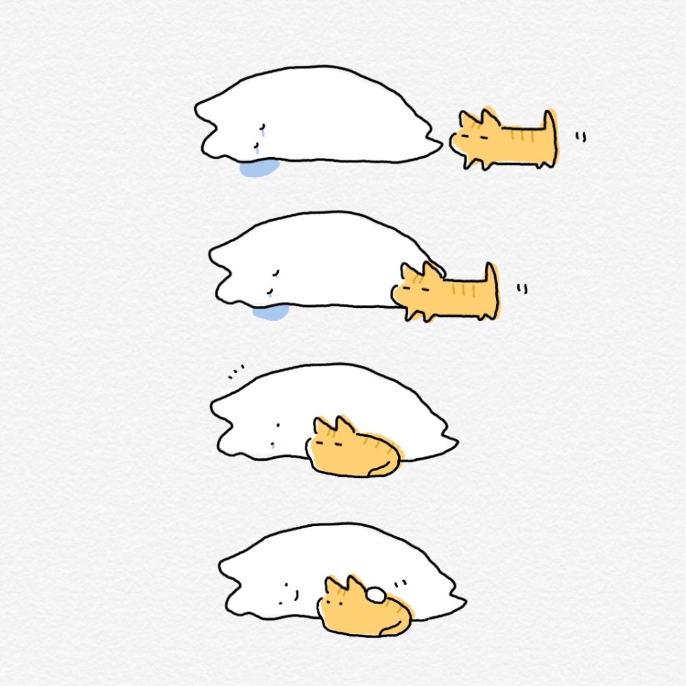 donachodiary 게시물 이미지: Your Cat Loves You 
털복숭이 고양이 모음집 

#도나쵸 #donacho
