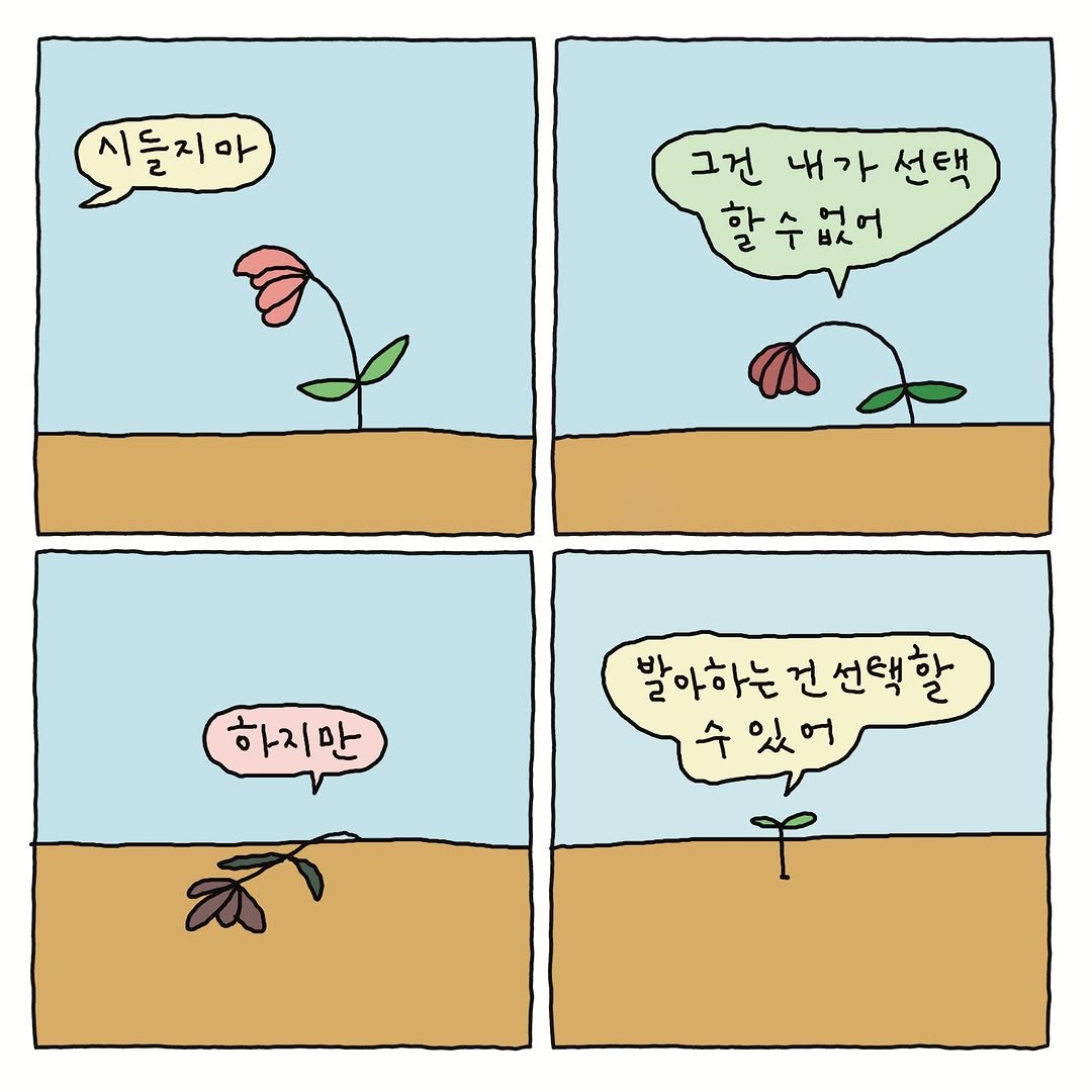 donachodiary 게시물 이미지: 새로운 시작

#도나쵸 #donacho