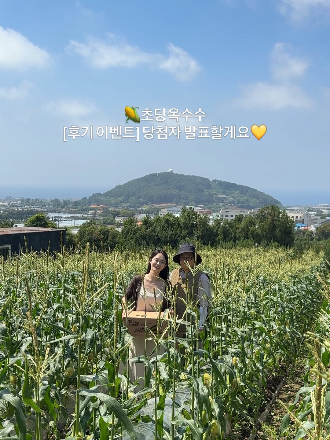 dongchae___ 게시물 이미지: 밤호박은 오늘 발송해서 월,화 중으로 받으실거에요🥰

초당이 많은 사랑...