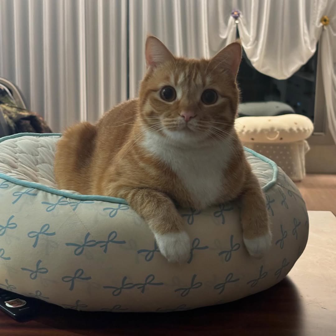 Photo by 동글이 on January 01, 2025.