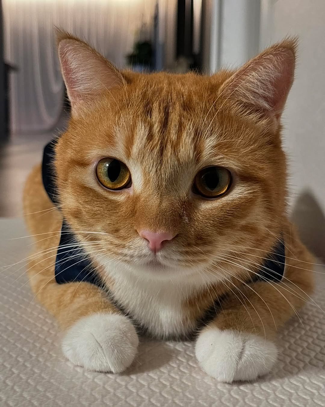 Photo by 동글이 on September 15, 2024.