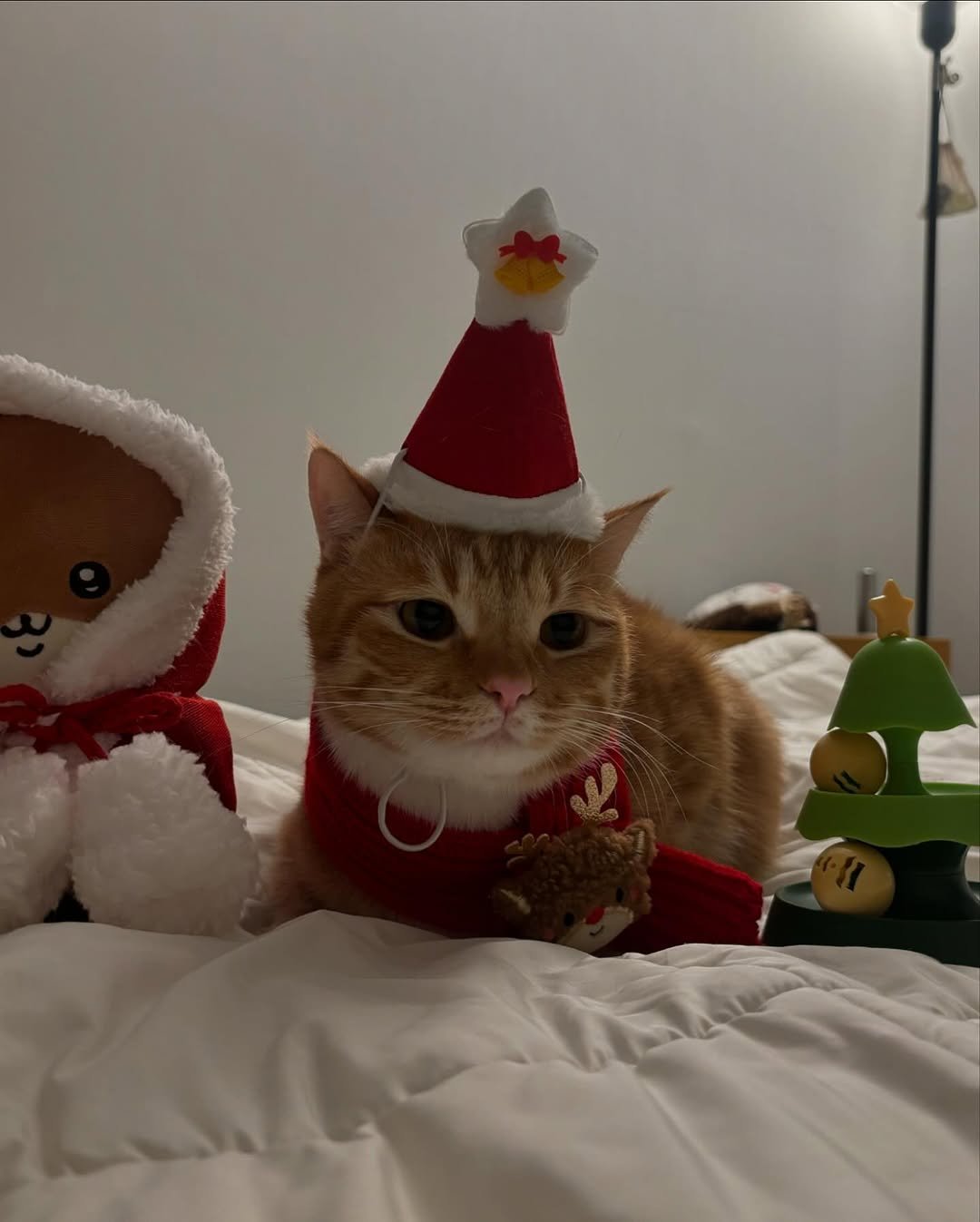 Photo by 동글이 on December 18, 2024.