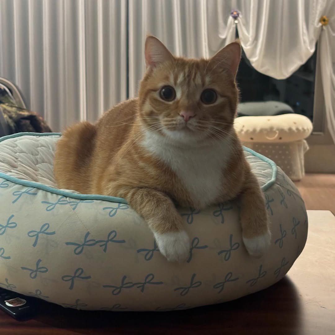 Photo by 동글이 on January 01, 2025.