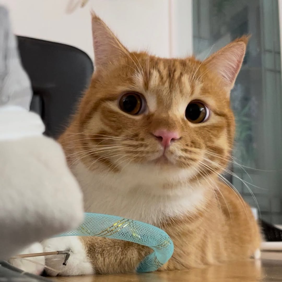 Photo by 동글이 on July 15, 2022.