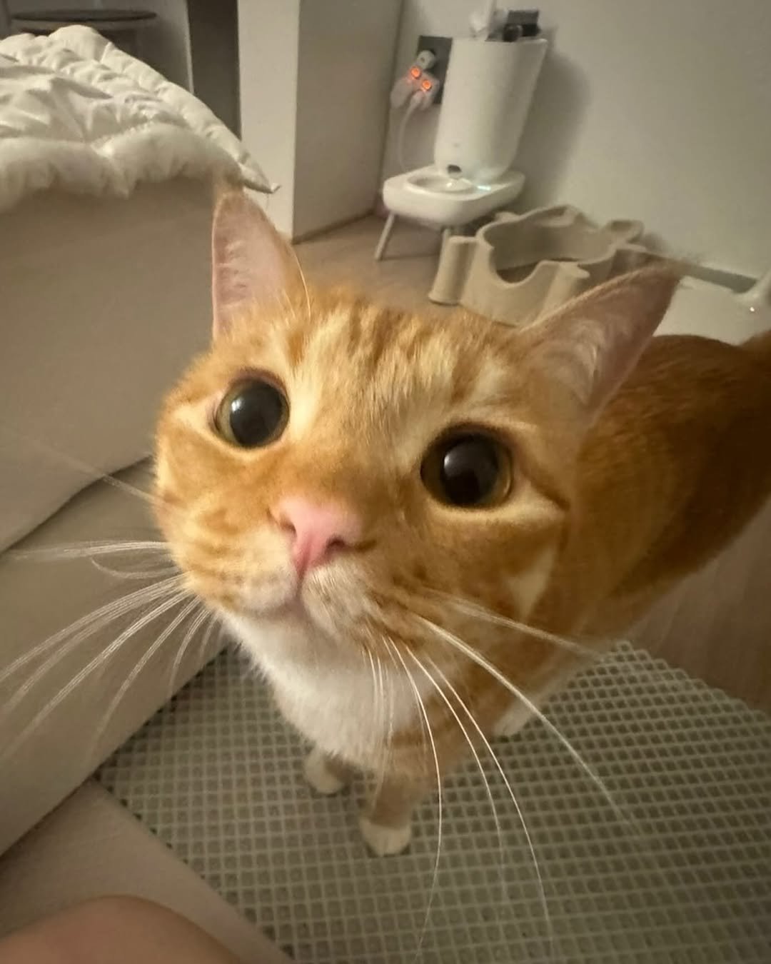 Photo by 동글이 on June 19, 2024.