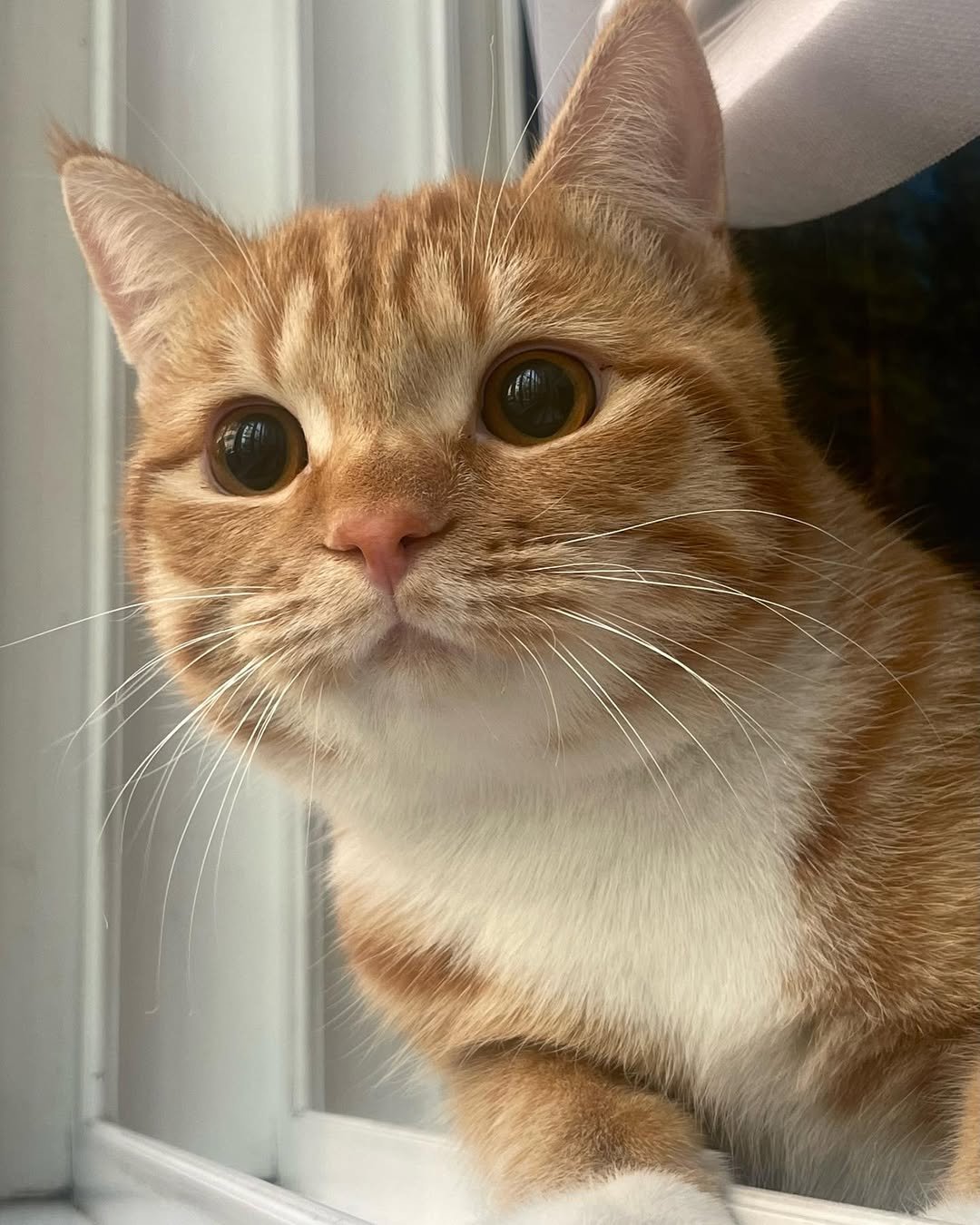 Photo by 동글이 on April 10, 2022.