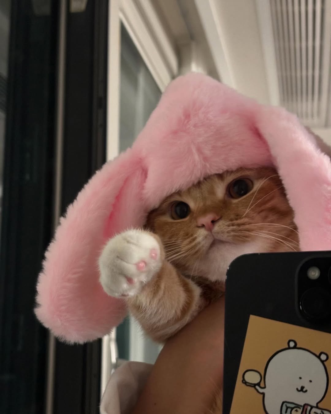 Photo by 동글이 on November 11, 2024.