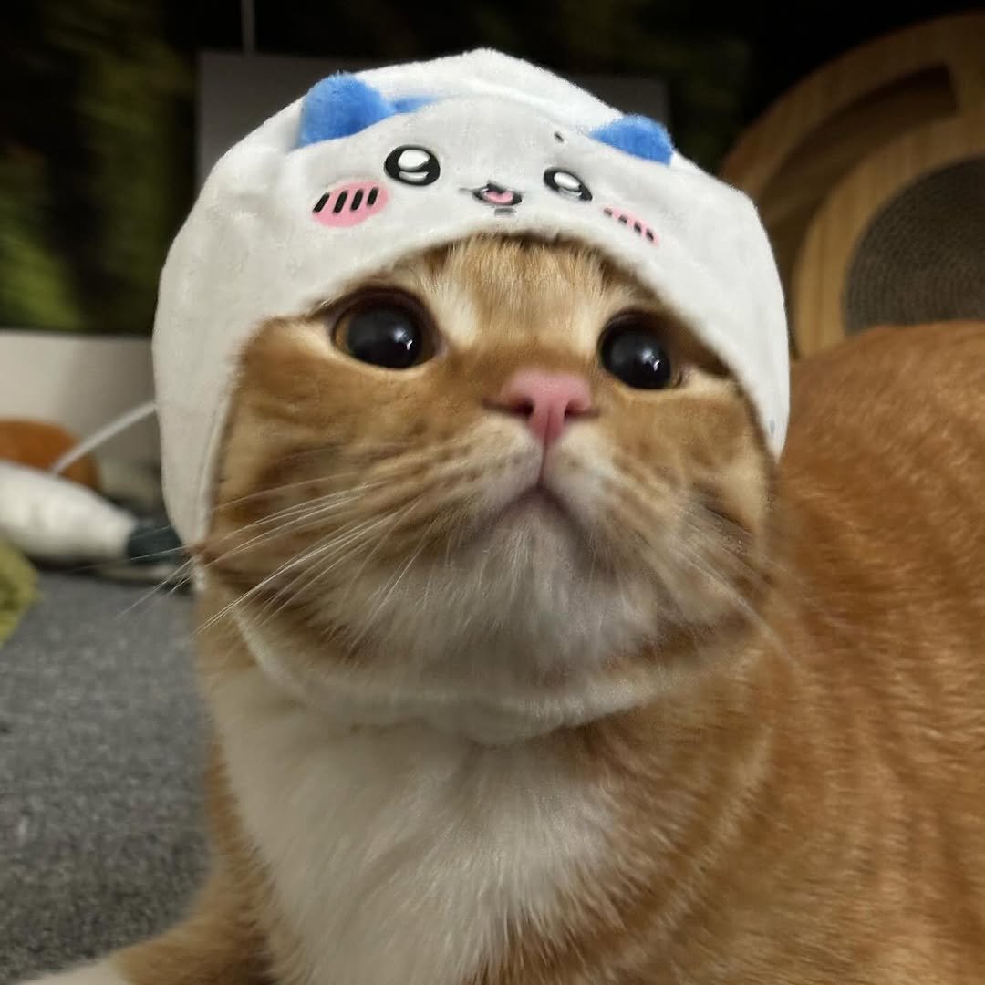 Photo by 동글이 on December 28, 2023.