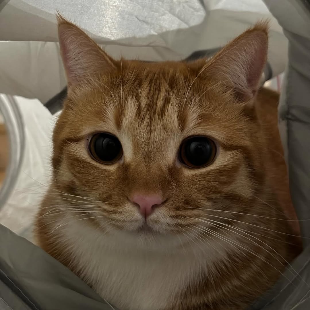 Photo by 동글이 on December 30, 2023.