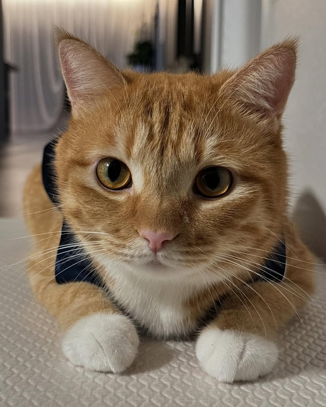 Photo by 동글이 on September 15, 2024.