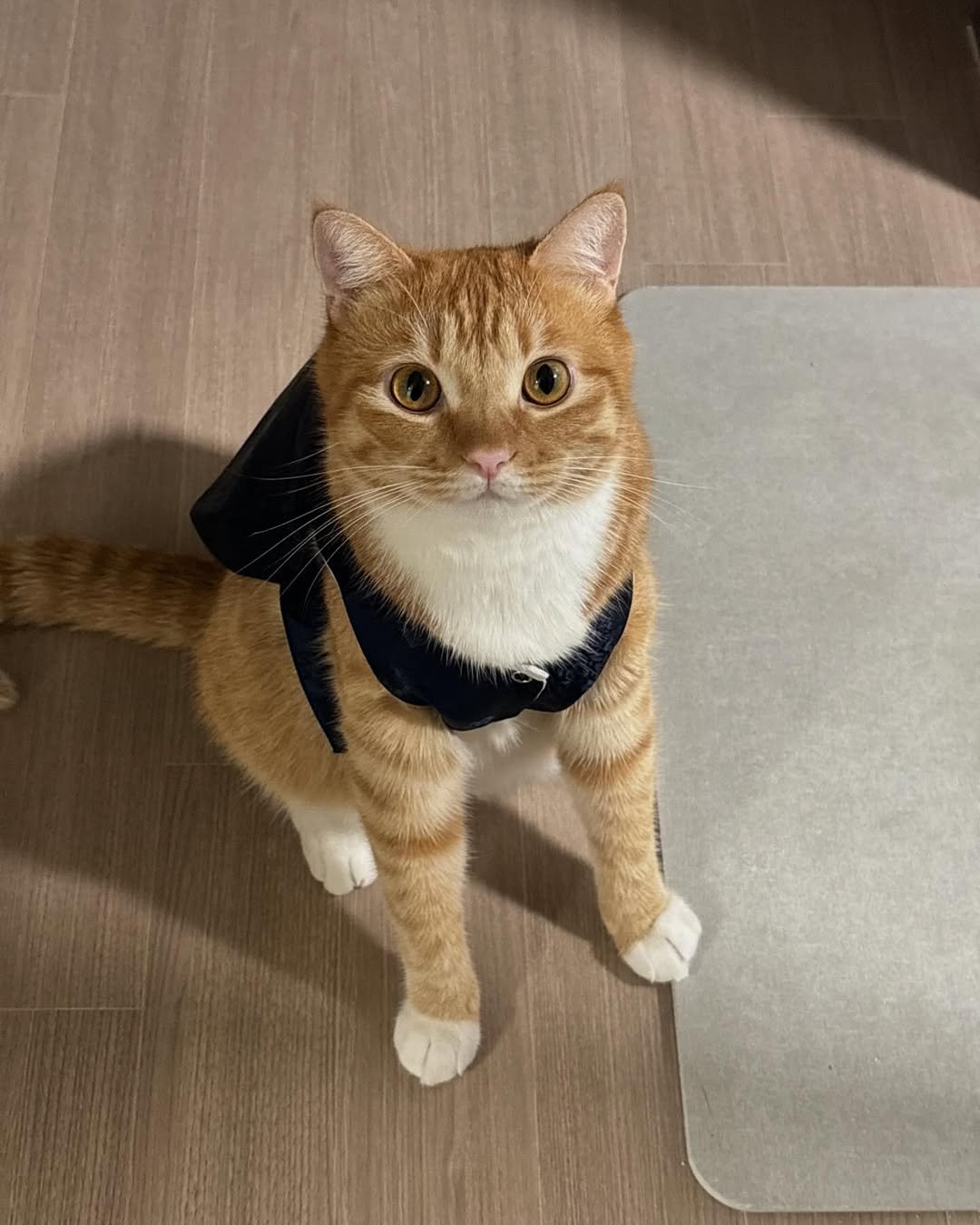 Photo by 동글이 on September 15, 2024.