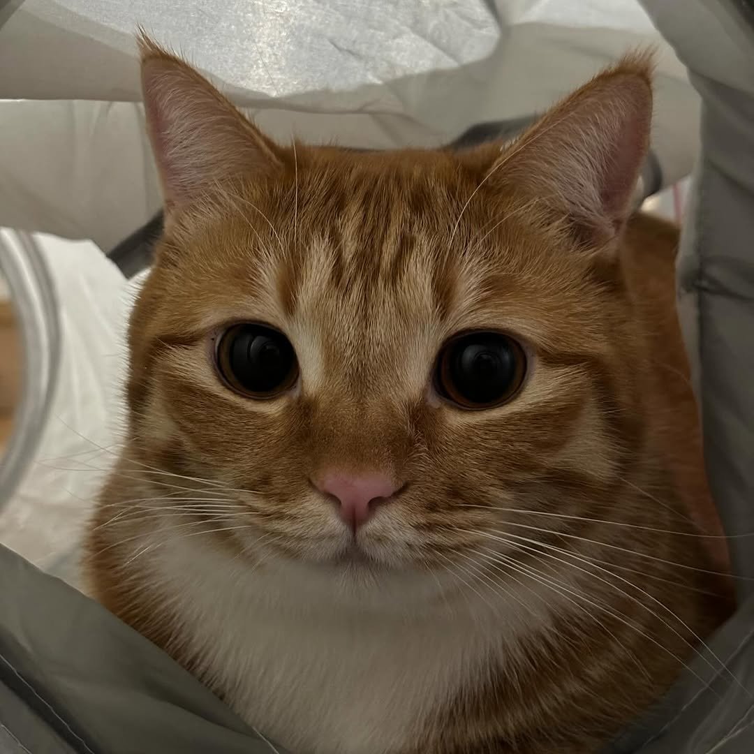 Photo by 동글이 on December 30, 2023.