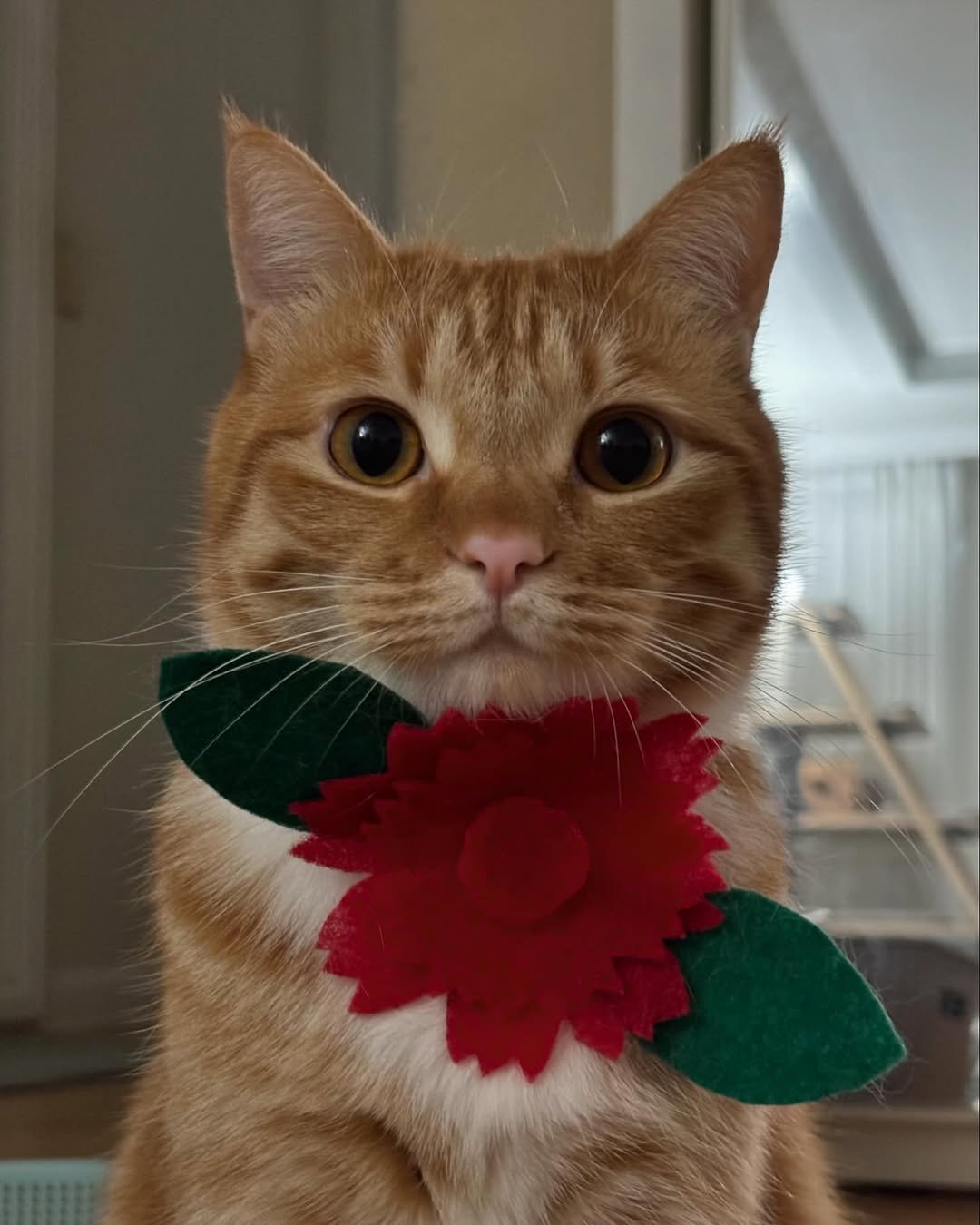 Photo by 동글이 on May 09, 2024.