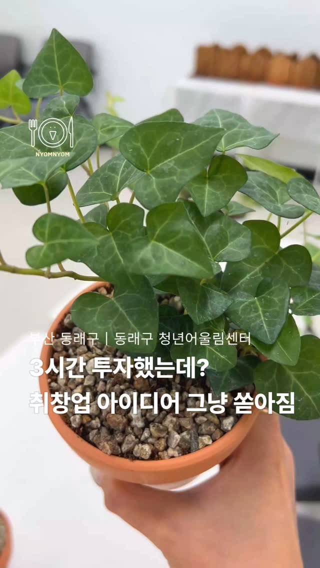 dongnae_official 게시물 이미지: 식물 킬러였던 제가 동래구 청년어울림센터에서 원예 수업 듣고 자신감이 엄청 생겨서...