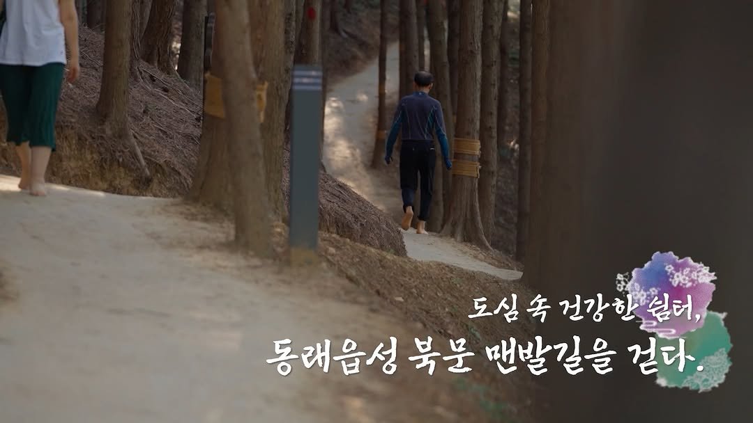 dongnae_official 게시물 이미지: 🚶‍♀️‍➡️도심 속 건강한 쉼터, 동래읍성 북문 맨발길을 걷다🚶‍♀️

도심 속...