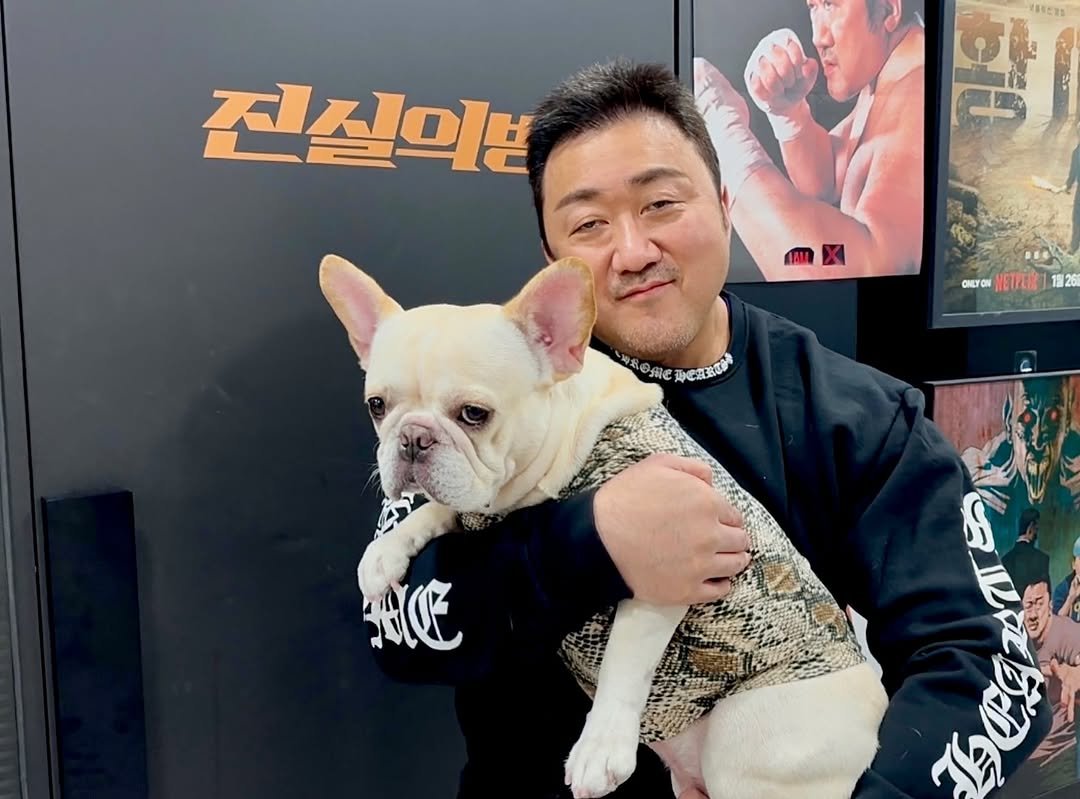 Photo by Don Lee 마동석 on November 14, 2025. May be an image of animal, pie and text.