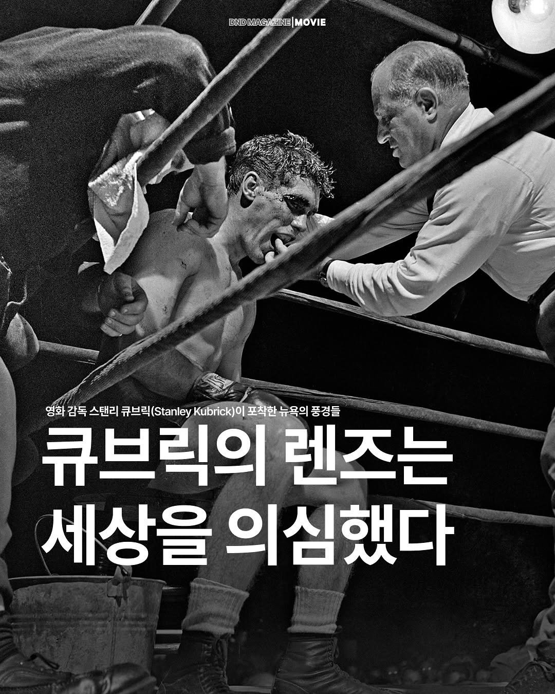 Photo by DND MAGAZINE on November 07, 2025. May be an image of poster and text.