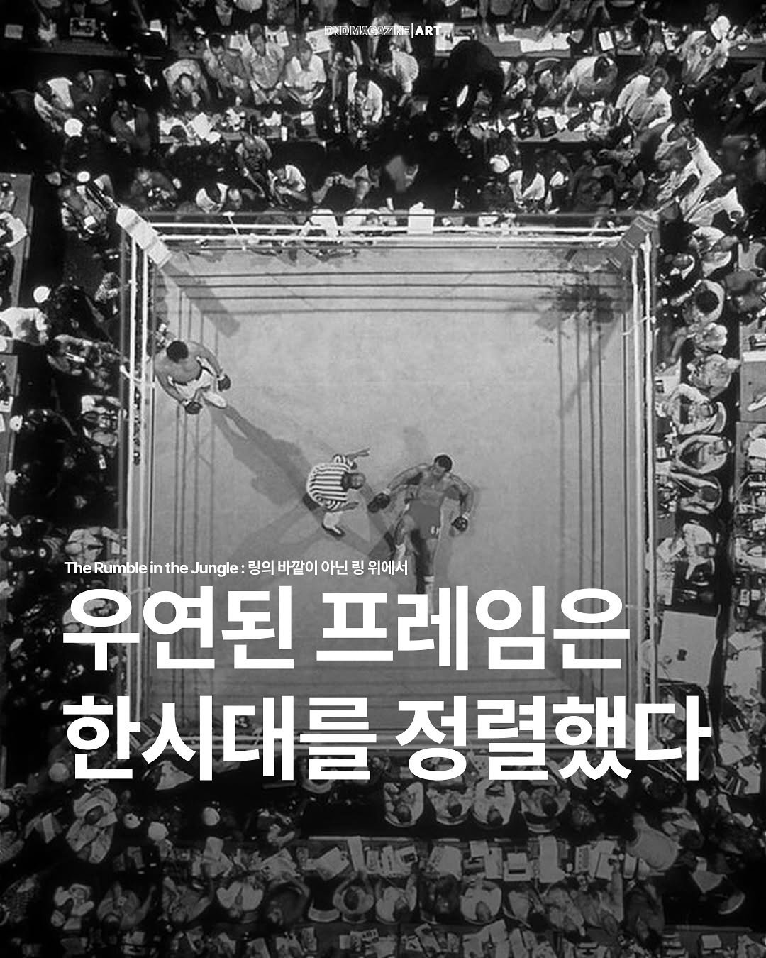 Photo by DND MAGAZINE on November 09, 2025. May be an image of text that says 'ART The Rumble in the Jungle: 링의 바깥이 아닌 링 위에서 우연된 프레임은 한시대를 정렬했다 αAblBaи ออไครัน'.