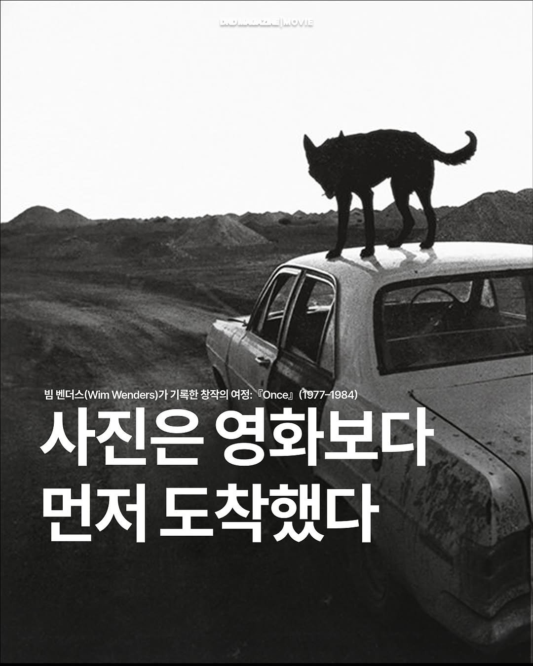 Photo by DND MAGAZINE on August 03, 2025. May be an image of Groenendael, poster and text that says 'DOMOAMOVIE 빔 벤더스(Wim 벤더스( Wenders) 기록한 창작의 여정: nce: (1977-1984) 사진은 영화보다 먼저 도착했다'.